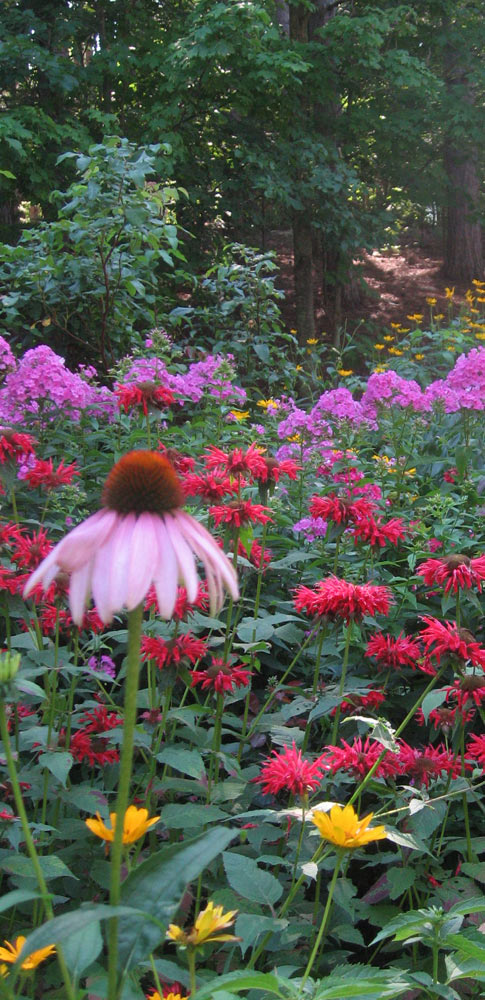 Cottage Garden